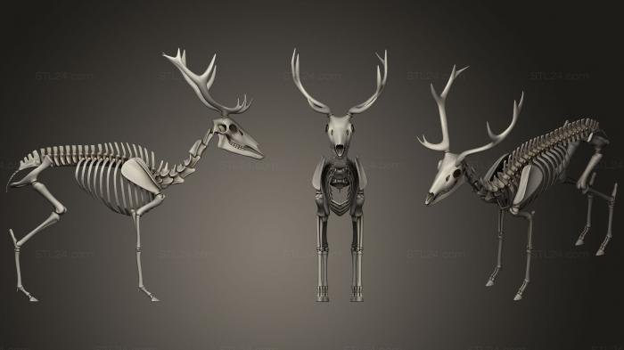 Анатомия скелеты и черепа (Скелет оленя, ANTM_0380) 3D модель для ЧПУ станка